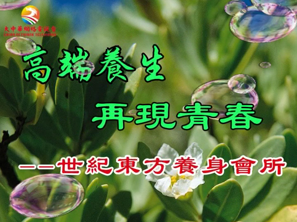 高端养生  再现青春